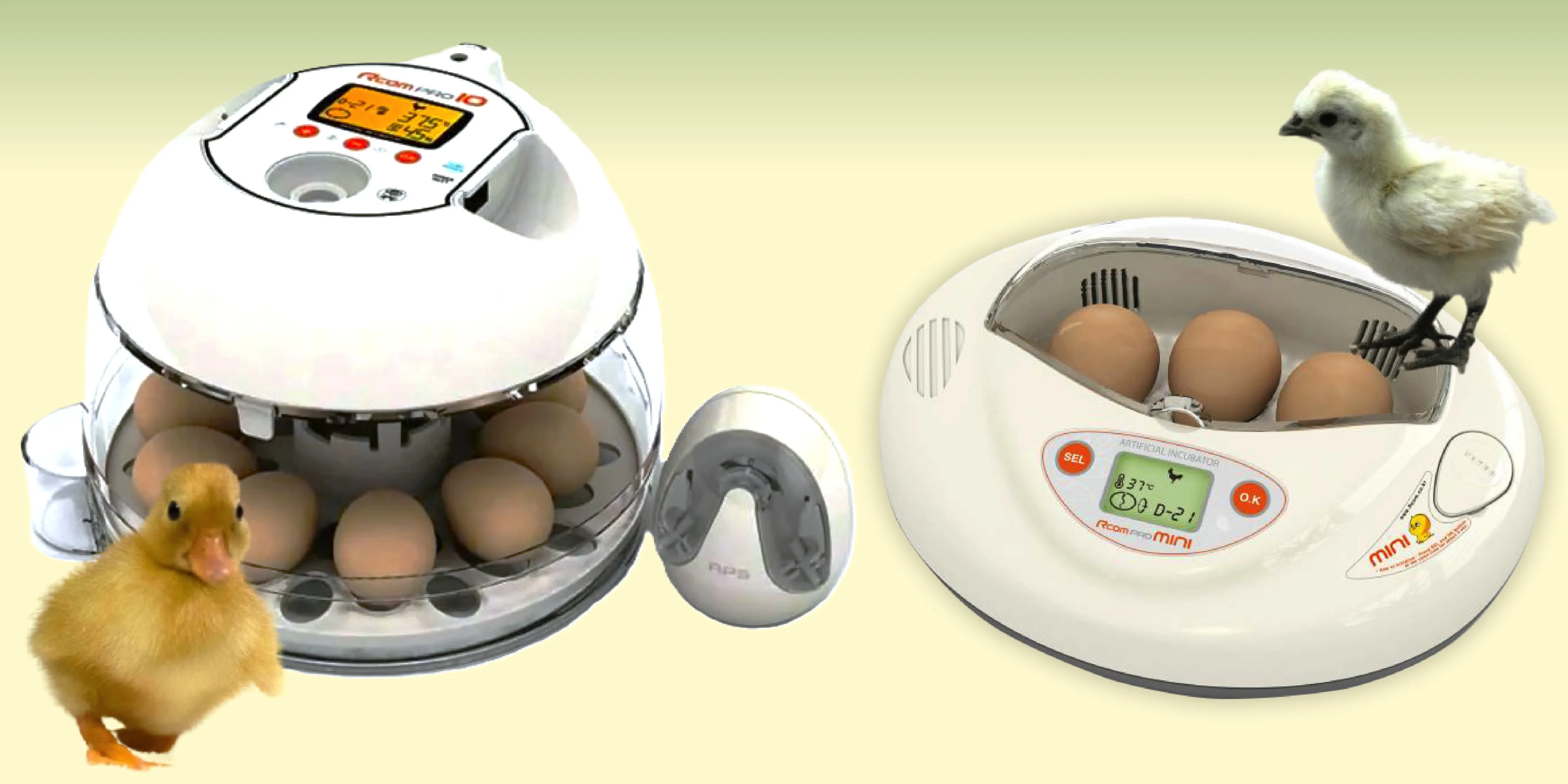 ふ化器のレンタル