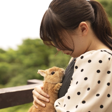 全ての動物が大切な家族